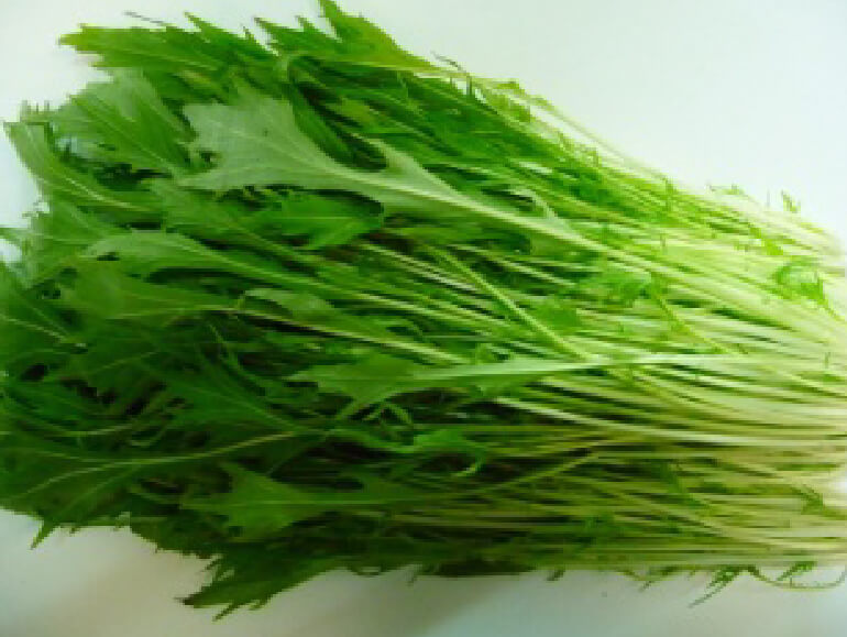 伝承野菜　水菜