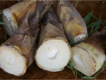 伝承野菜　竹の子