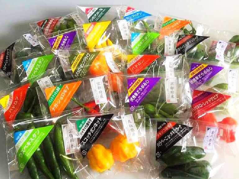 世界の唐辛子シリーズ