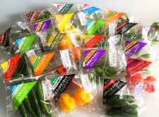 世界の唐辛子シリーズ