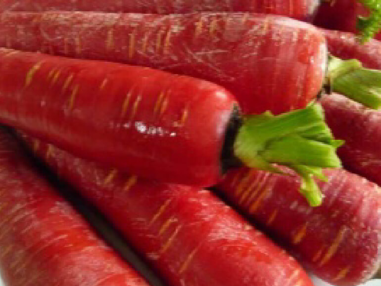 京人参（金時人参)