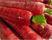 京人参（金時人参)