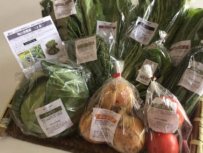 旬の京野菜詰合せイメージ