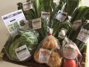 旬の京野菜詰合せイメージ