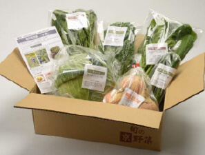旬の京野菜詰合せイメージ